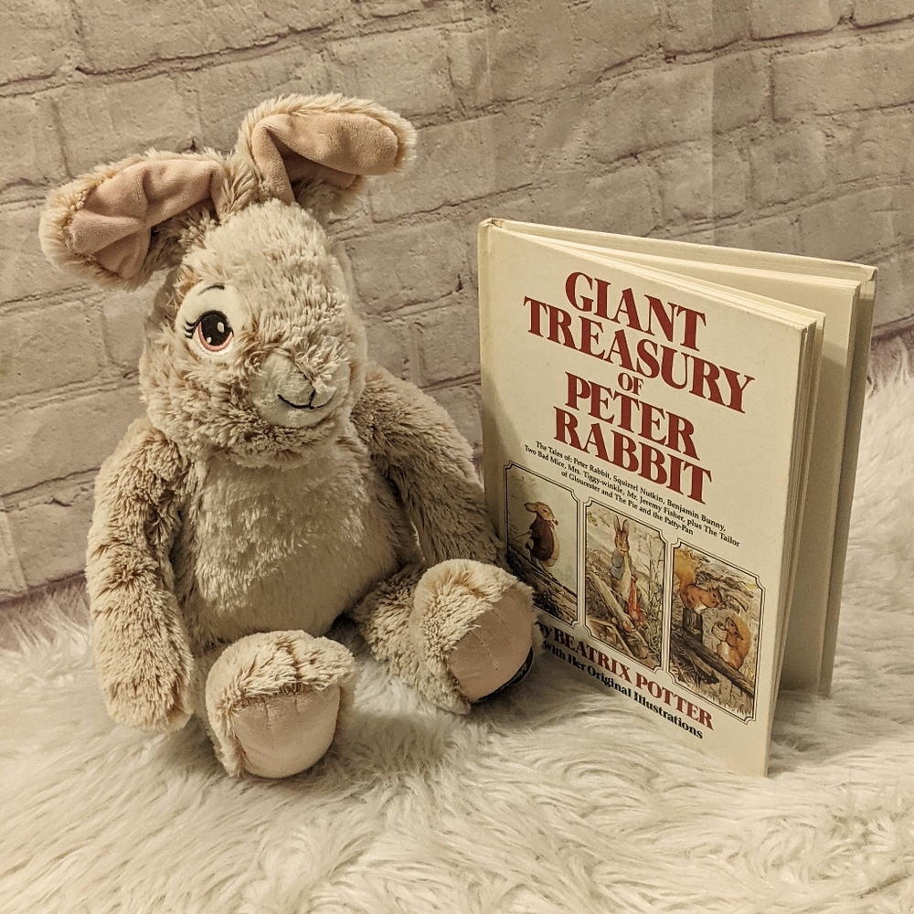 Peter Rabbit Dan Dee Plush and  Book